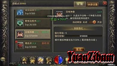 Ĺʧ汾
